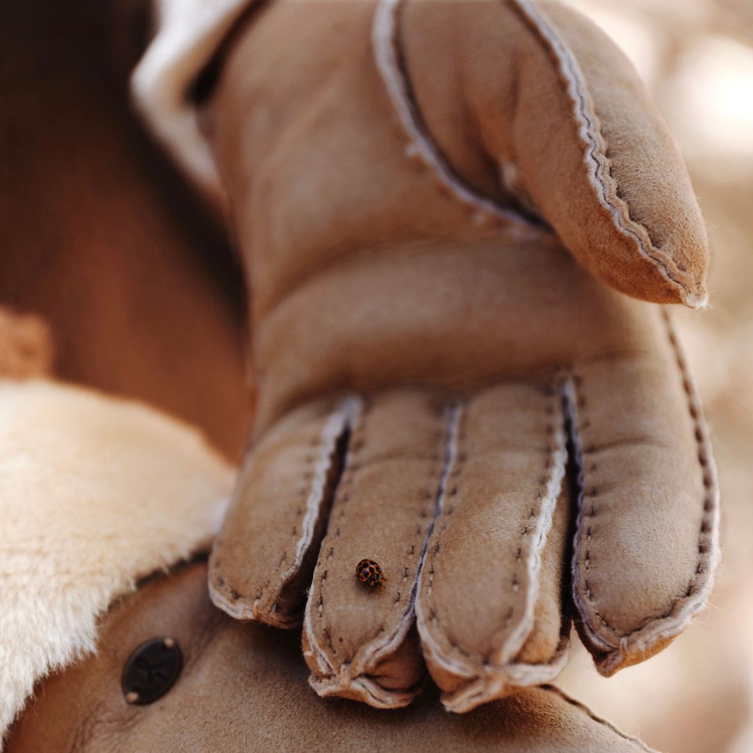 Emu Bay Gloves